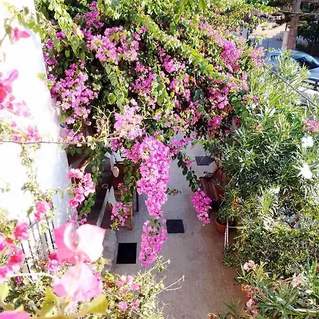 Irini Apartament Platanés
