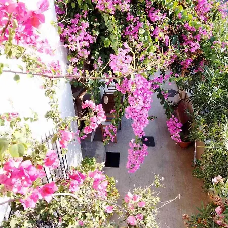 Apartament Irini Platanés